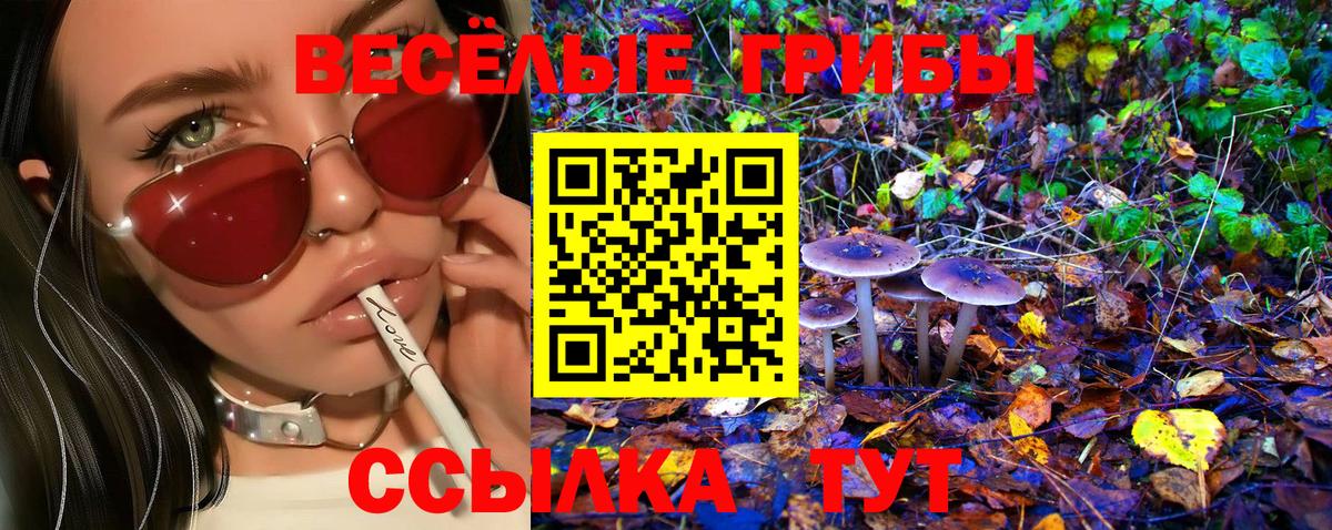 Галлюциногенные грибы прущие грибы  где можно купить   Димитровград  Вход с VPN 